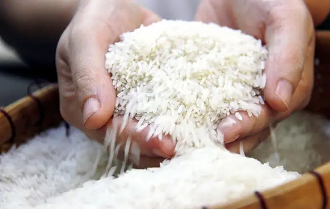 Gạo ST25 là gì?