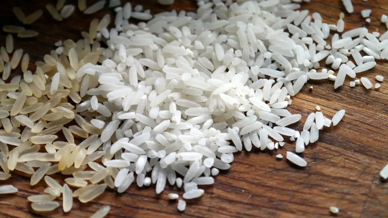 Nhận biết gạo mốc qua màu sắc