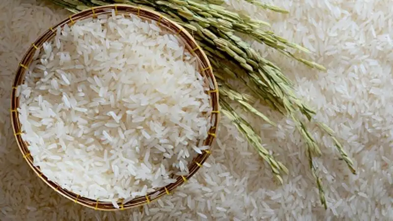 Bảng giá gạo ST hiện nay được cập nhật mới nhất
