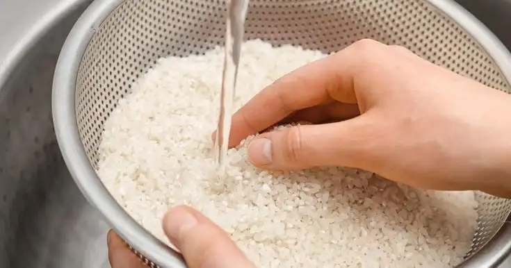 Vo và ngâm gạo ST25 đúng cách