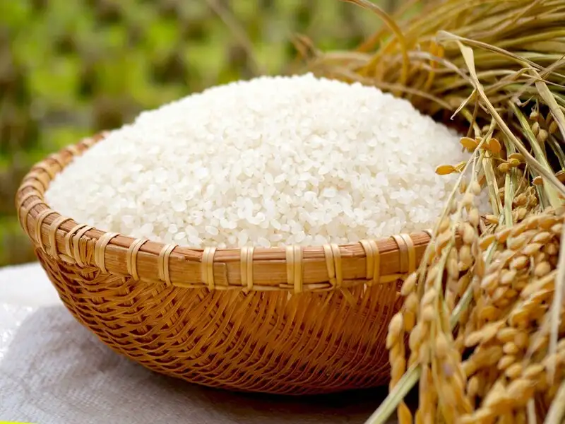 Nên ăn nhiều gạo thô để bảo vệ sức khỏe