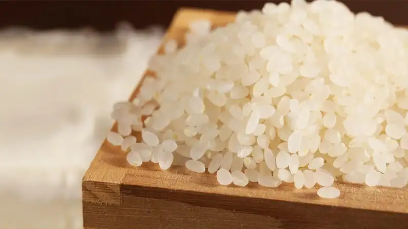 Gạo Japonica là gạo gì?