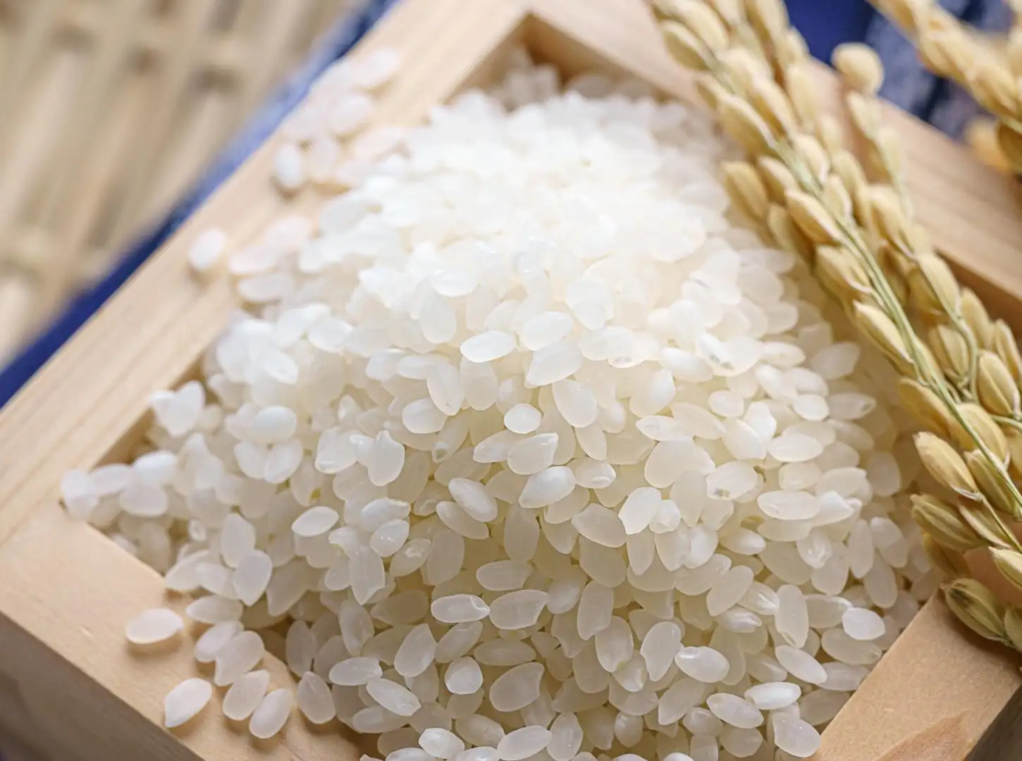 Gạo Japonica là gì?