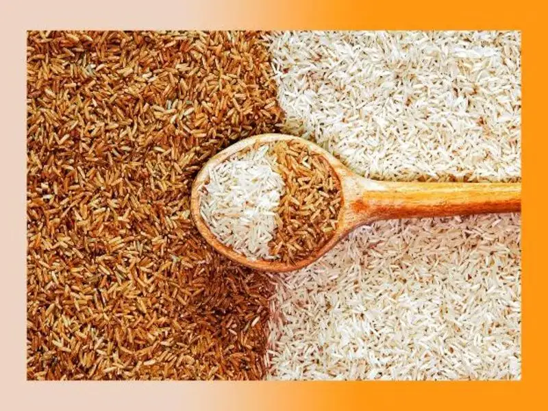 So sánh gạo lứt và gạo trắng