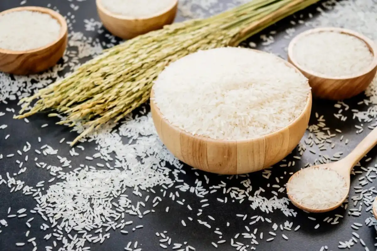 Gạo ST có mấy loại? Cách phân biệt và chọn chuẩn từng loại