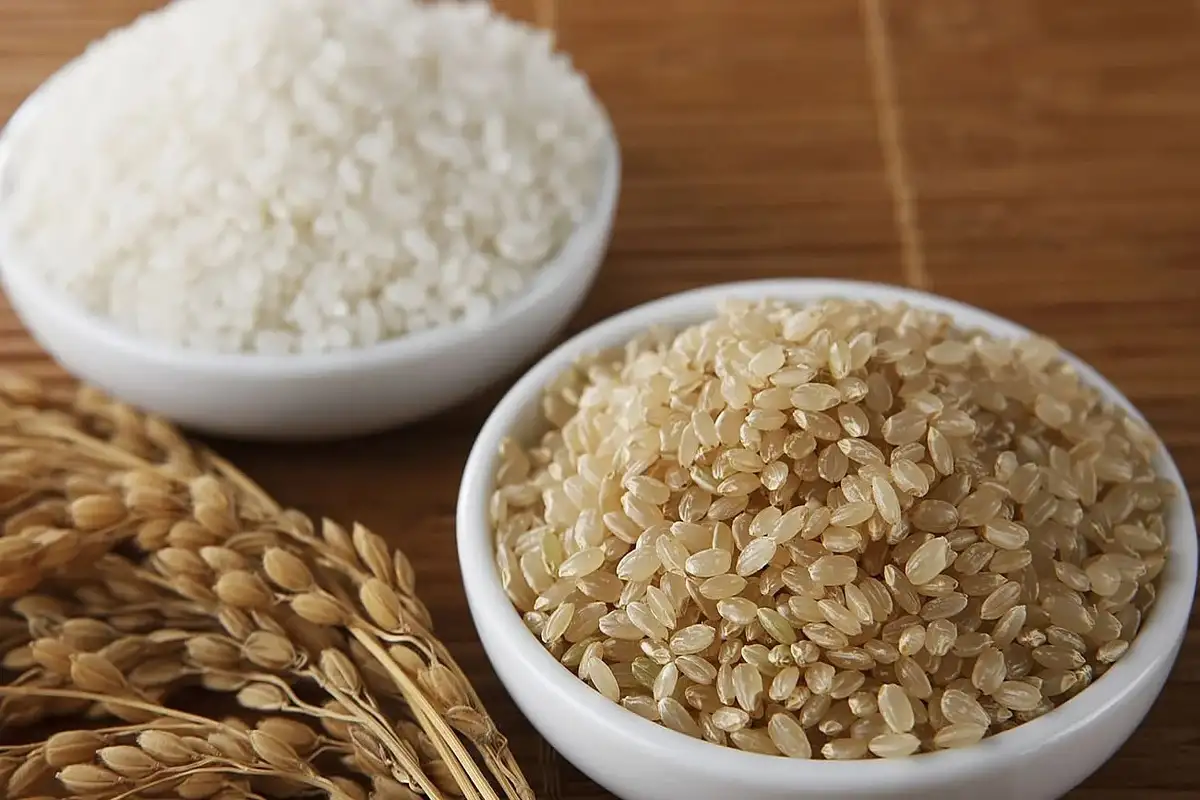 So sánh gạo lứt và gạo trắng: Sự khác nhau & lựa chọn tối ưu