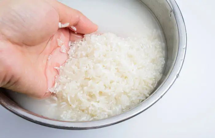 Ngâm và vo gạo Japonica đúng cách giúp hạt nở đều, cơm sushi dẻo và bóng.