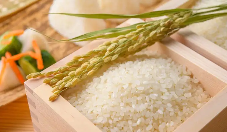 Hạt gạo Japonica trắng sáng, hạt tròn đều lựa chọn số 1 để làm sushi chuẩn vị Nhật.
