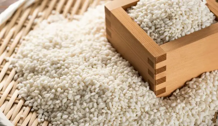 ạo Vialone của Ý cũng có thể dùng làm sushi nhờ hàm lượng amylopectin cao