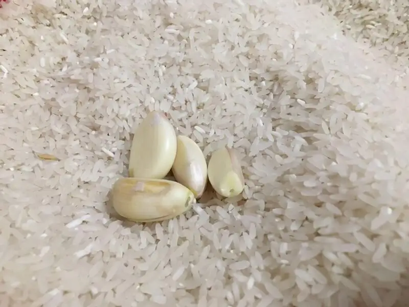 Cách bảo quản gạo bằng tỏi và ớt khô giúp chống mọt tự nhiên