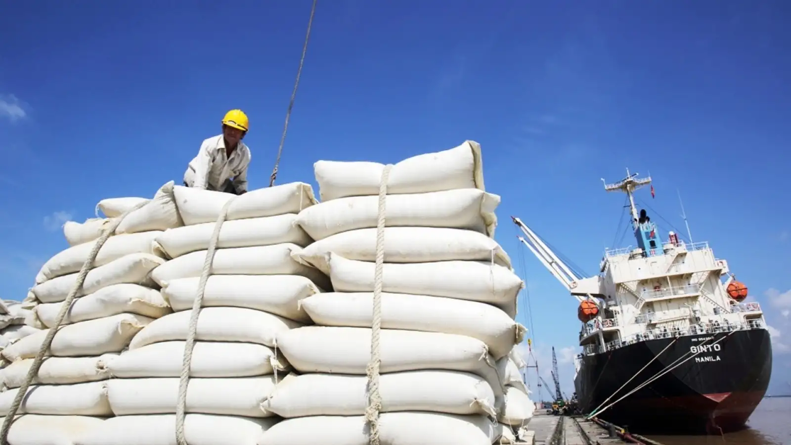 Xu hướng xuất khẩu gạo và tiêu thụ gạo toàn cầu