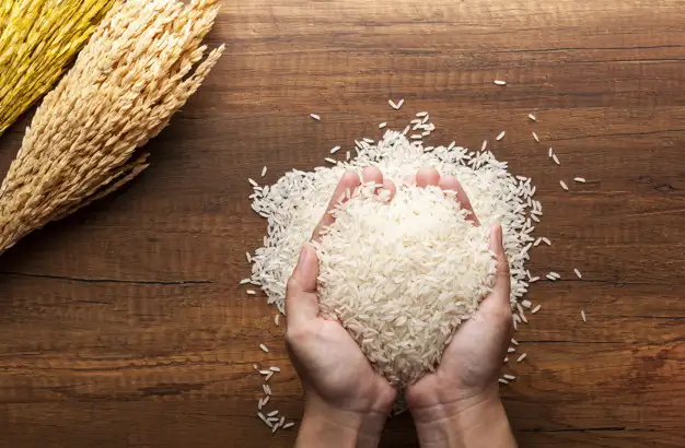 Cách chọn gạo ngon nhất Việt Nam chuẩn vị gia đình