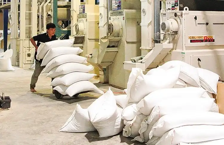 Công nghệ hiện đại được ứng dụng trong sản xuất gạo sạch