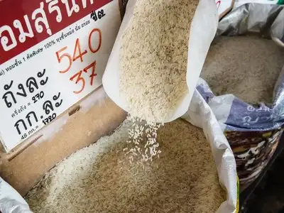 Ấn Độ dẫn đầu thế giới với thị trường chủ lực Trung Đông và châu Phi